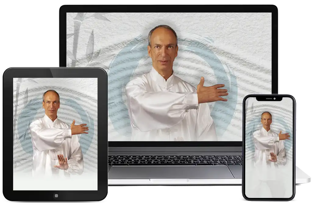 Taifullness - Corso Tai Chi online completo