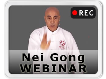 Il potere segreto del Tai Chi: Nei Gong - Webinar lez. reg. da 1 a 12